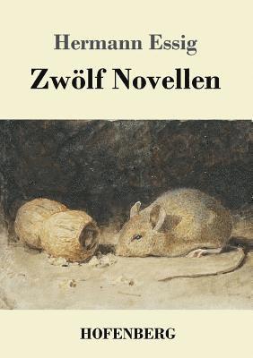 Zwölf Novellen