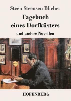 Steen Steensen Blicher - Tagebuch eines Dorfküsters, Häftad