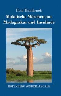 bokomslag Malaiische Mrchen aus Madagaskar und Insulinde
