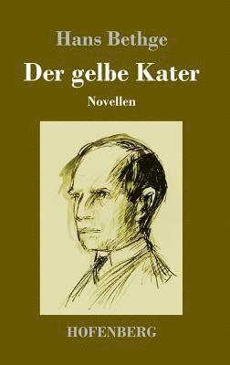 gelbe Kater 1