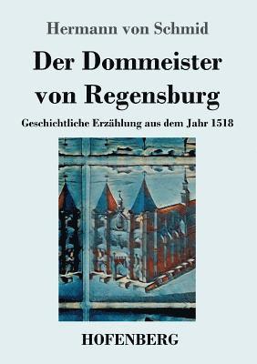 bokomslag Der Dommeister von Regensburg