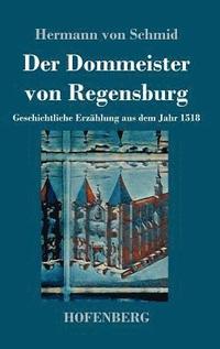 bokomslag Der Dommeister von Regensburg