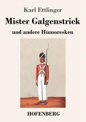 bokomslag Mister Galgenstrick