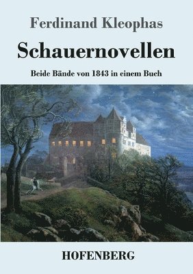 bokomslag Schauernovellen