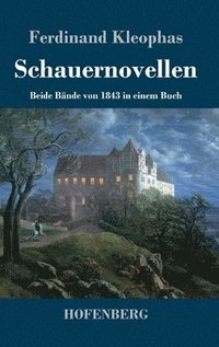 bokomslag Schauernovellen