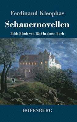 bokomslag Schauernovellen