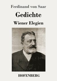 bokomslag Gedichte / Wiener Elegien