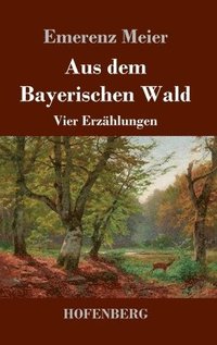 bokomslag Aus dem Bayerischen Wald