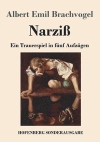 bokomslag Narziß