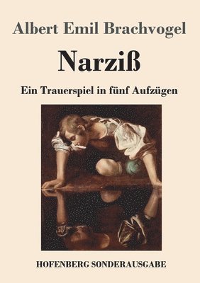 bokomslag Narziß