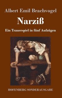 bokomslag Narziß