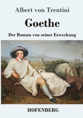 bokomslag Goethe