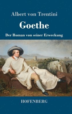 bokomslag Goethe