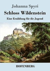 bokomslag Schloss Wildenstein