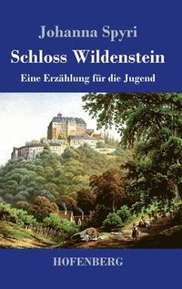 bokomslag Schloss Wildenstein
