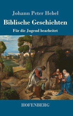 bokomslag Biblische Geschichten