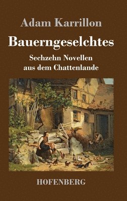 bokomslag Bauerngeselchtes