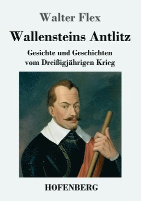 bokomslag Wallensteins Antlitz