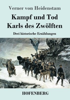 bokomslag Kampf und Tod Karls des Zwlften