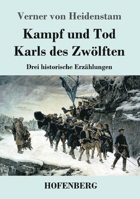 Kampf und Tod Karls des Zwölften