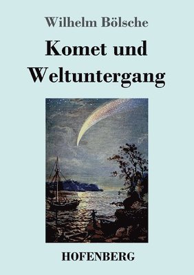 bokomslag Komet und Weltuntergang