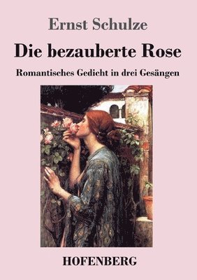 bezauberte Rose