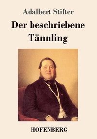 bokomslag Der beschriebene Tnnling