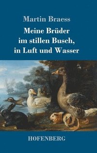 bokomslag Meine Brüder im stillen Busch, in Luft und Wasser