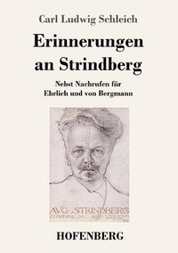 bokomslag Erinnerungen an Strindberg