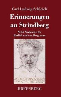 bokomslag Erinnerungen an Strindberg