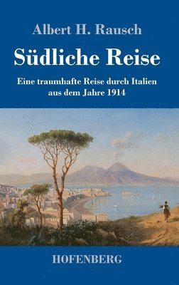 Albert H Rausch, Albert H. Rausch - Südliche Reise, Inbunden