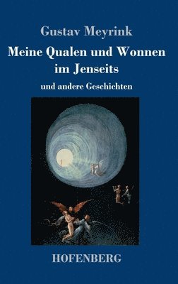 bokomslag Meine Qualen und Wonnen im Jenseits