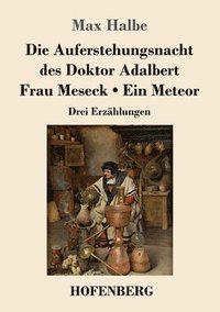 bokomslag Die Auferstehungsnacht des Doktor Adalbert / Frau Meseck / Ein Meteor