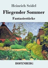 bokomslag Fliegender Sommer