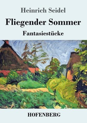 bokomslag Fliegender Sommer