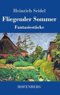bokomslag Fliegender Sommer