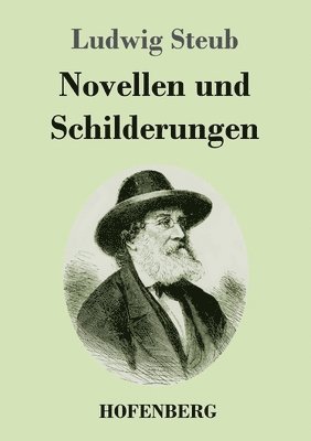 bokomslag Novellen und Schilderungen