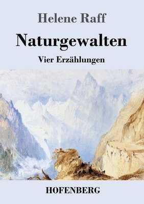 bokomslag Naturgewalten