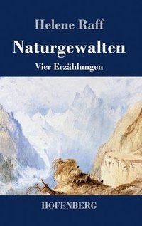 bokomslag Naturgewalten