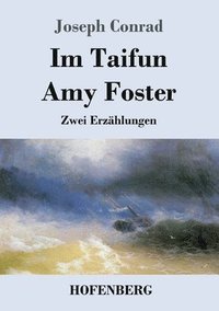 bokomslag Im Taifun / Amy Foster