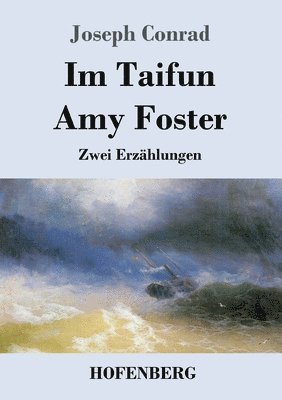 bokomslag Im Taifun / Amy Foster