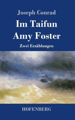 bokomslag Im Taifun / Amy Foster