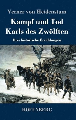 Kampf und Tod Karls des Zwölften