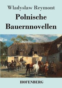 bokomslag Polnische Bauernnovellen