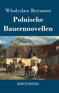 bokomslag Polnische Bauernnovellen