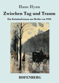 bokomslag Zwischen Tag und Traum