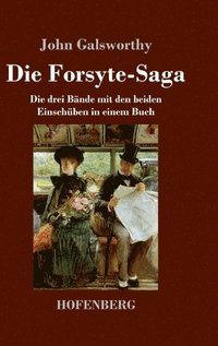 bokomslag Die Forsyte-Saga