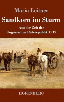 Maria Leitner - Sandkorn im Sturm, Inbunden