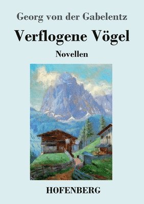 Verflogene Vögel