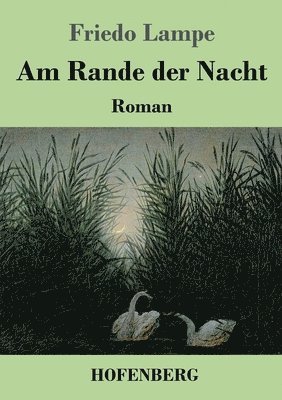 bokomslag Am Rande der Nacht